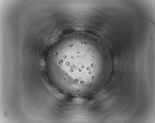 X0000102500614200808151522