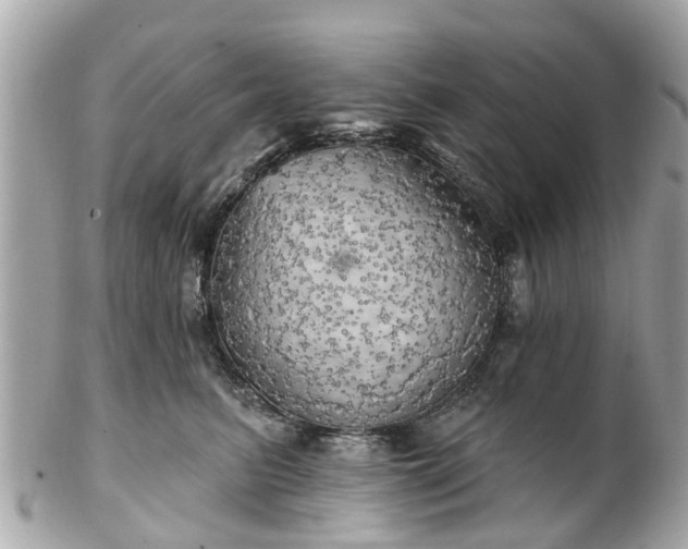 X0000102500615200808151522