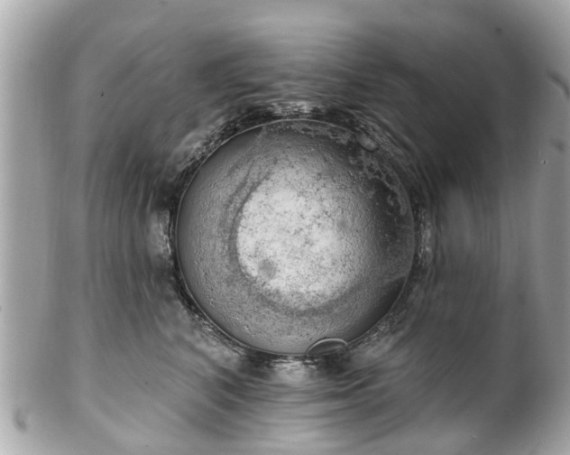 X0000102500616200808151522