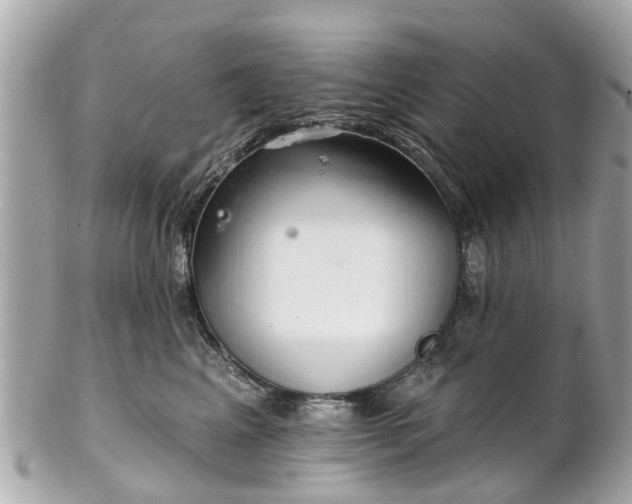 X0000102500617200808151522