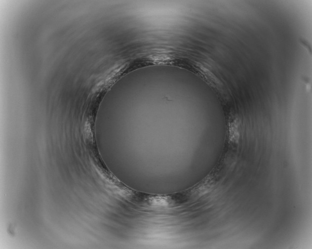 X0000102500618200808151522