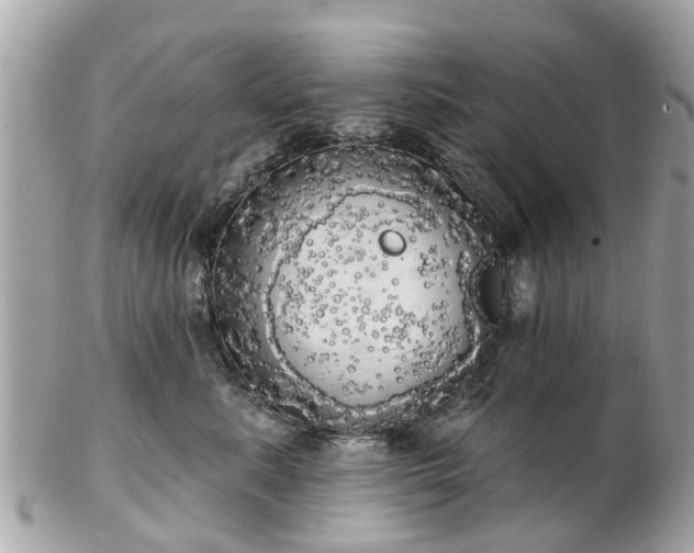 X0000102500619200808151522