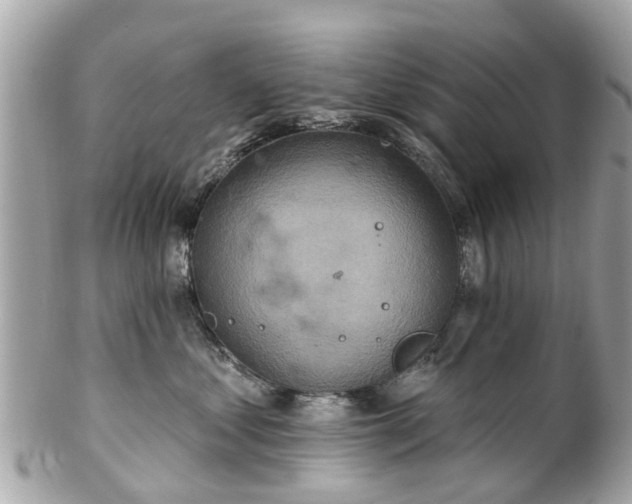 X0000102500621200808151522