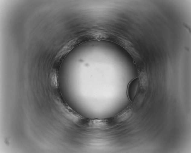 X0000102500622200808151522