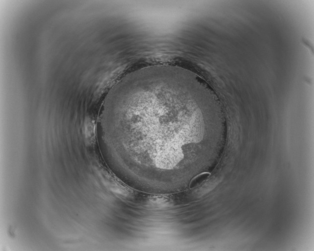 X0000102500624200808151522