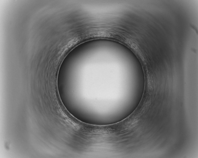 X0000102500625200808151521