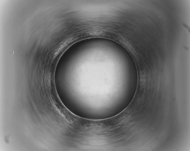 X0000102500626200808151521