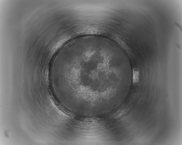 X0000102500627200808151521