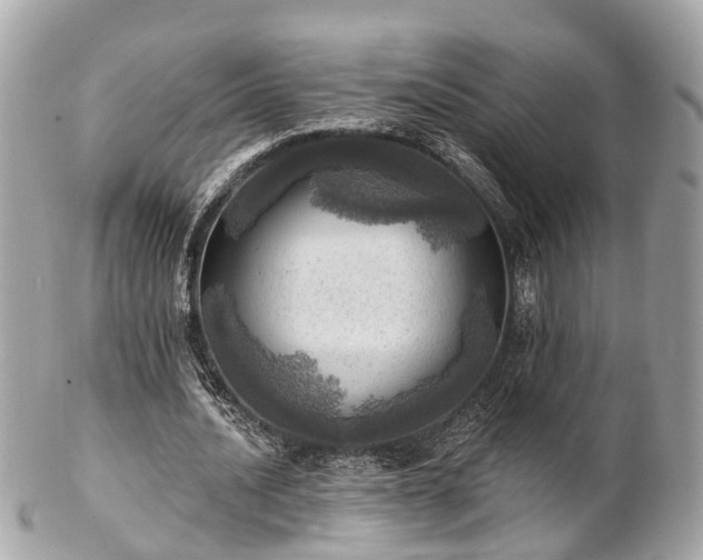 X0000102500628200808151521