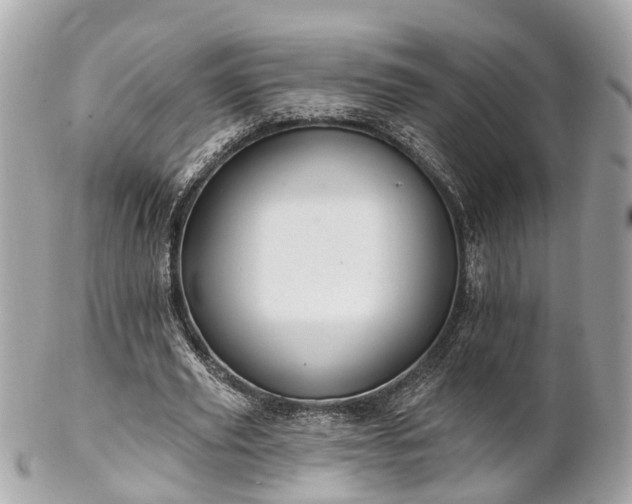 X0000102500629200808151521