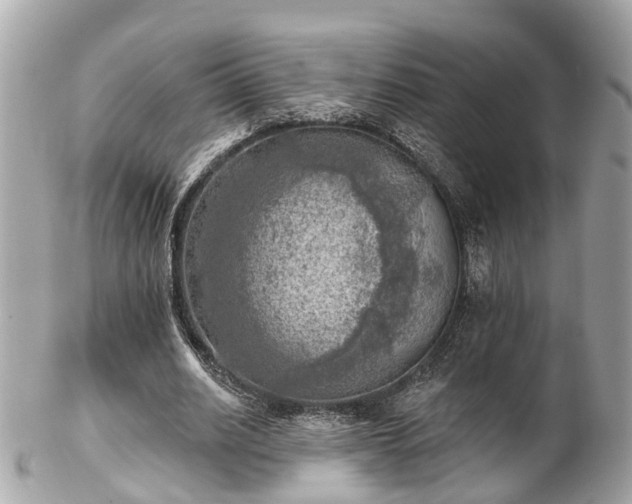 X0000102500630200808151521