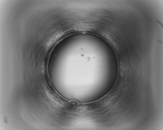 X0000102500631200808151521