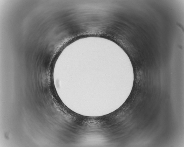 X0000102500632200808151522