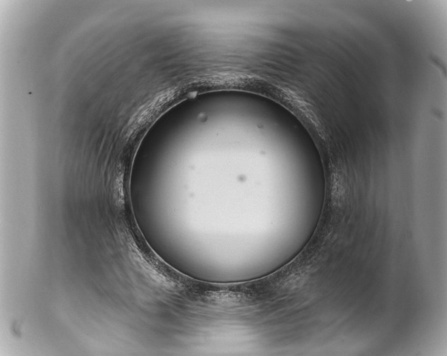 X0000102500633200808151522