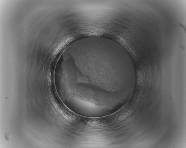 X0000102500634200808151522