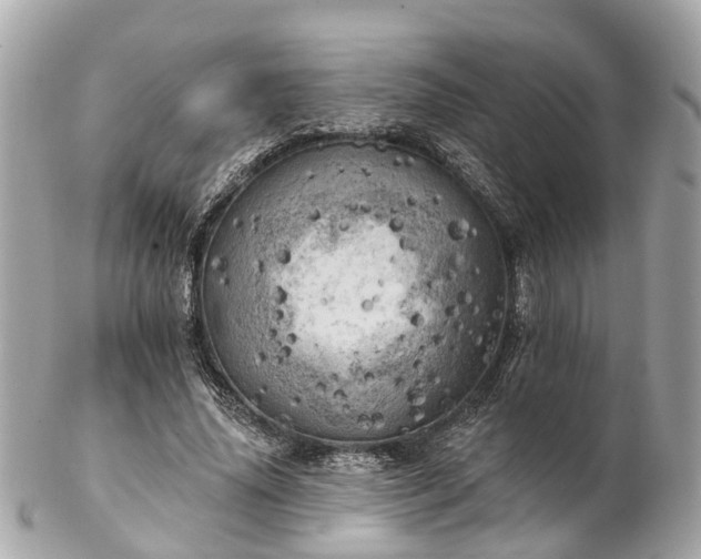 X0000102500636200808151522