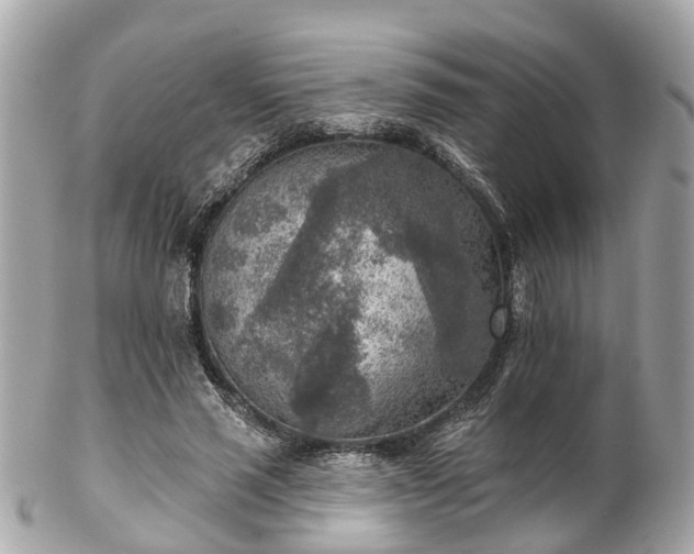 X0000102500637200808151522