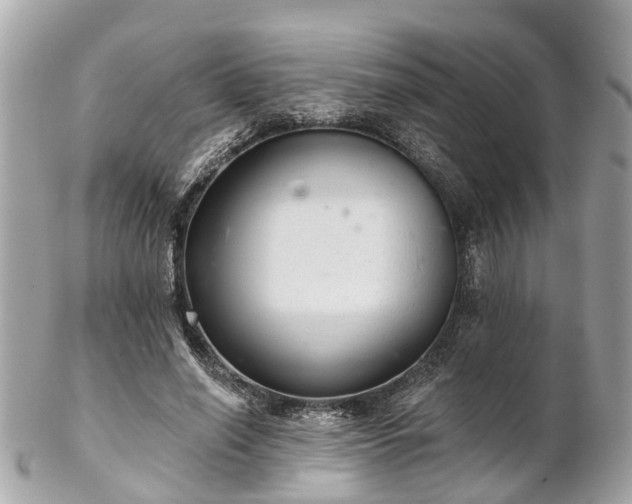 X0000102500638200808151522