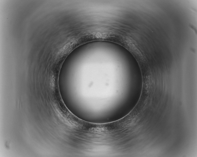 X0000102500639200808151522