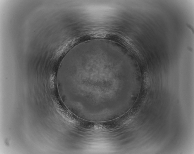 X0000102500641200808151522