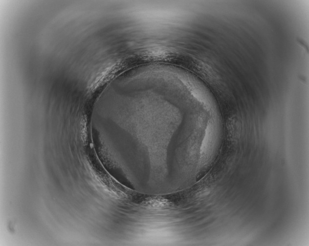 X0000102500642200808151522