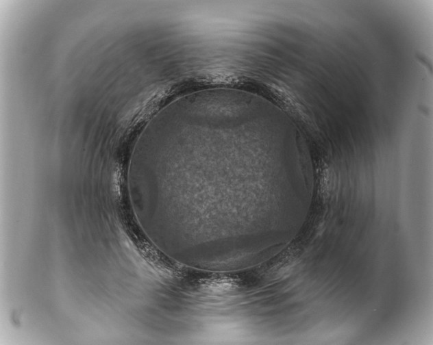 X0000102500643200808151522