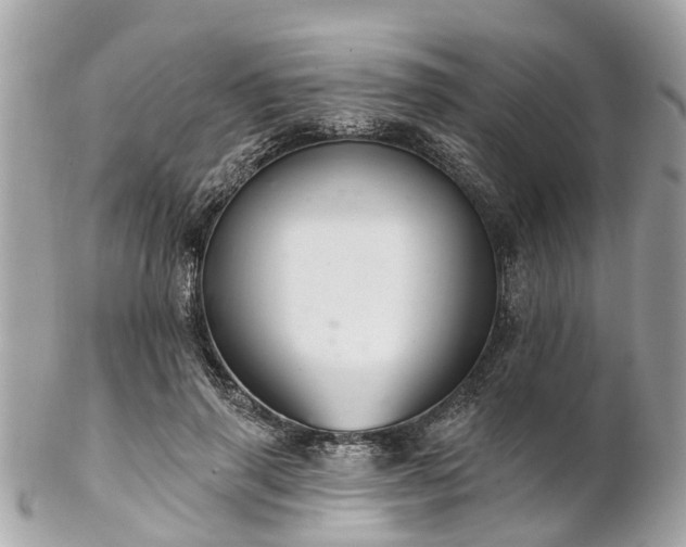 X0000102500645200808151522