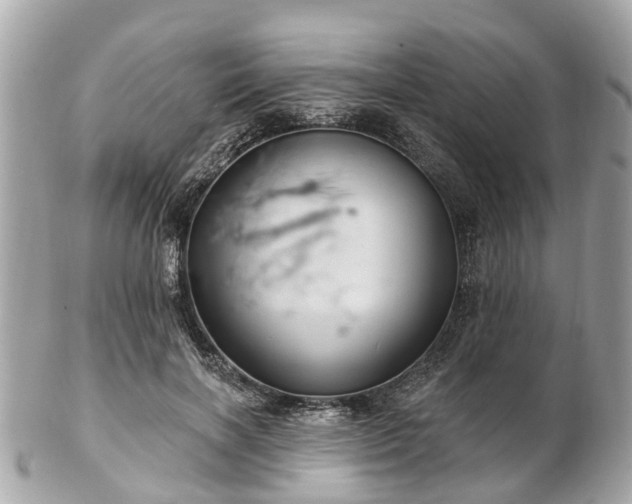 X0000102500646200808151522