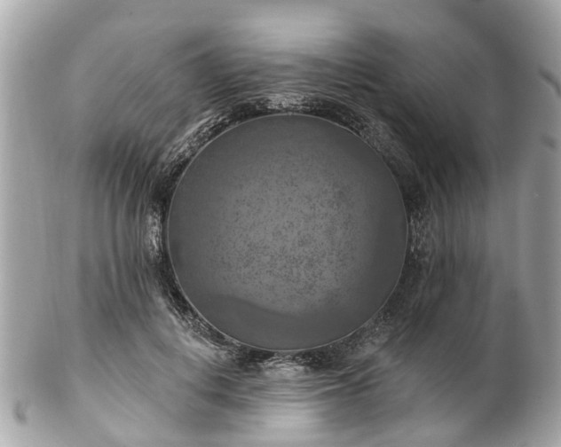 X0000102500648200808151522