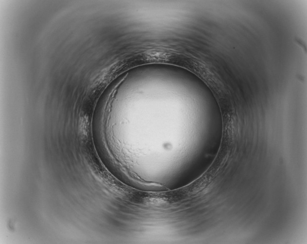 X0000102500649200808151522