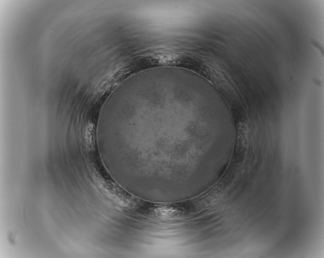 X0000102500650200808151522