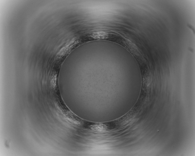 X0000102500652200808151522