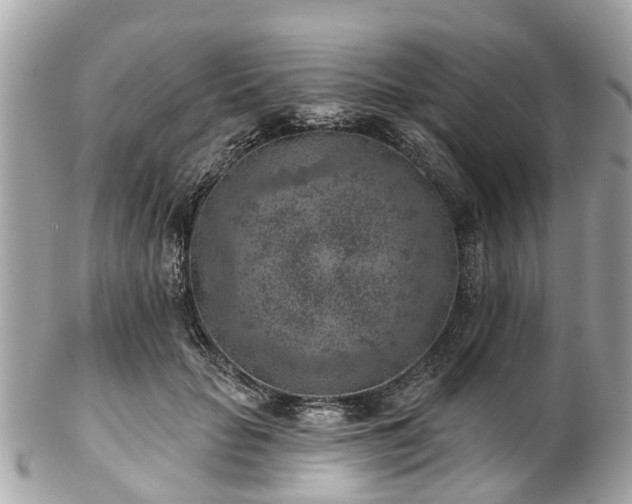 X0000102500653200808151522