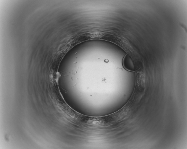 X0000102500655200808151522