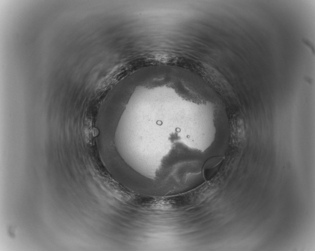 X0000102500656200808151522