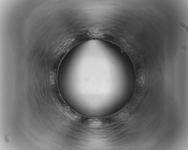 X0000102500658200808151522