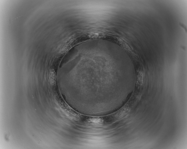 X0000102500659200808151522