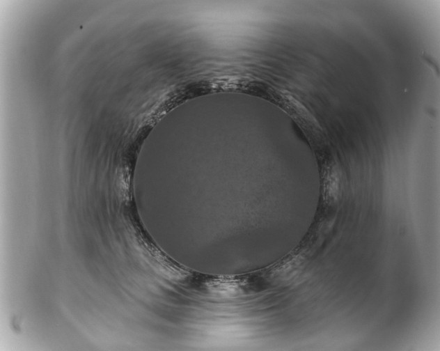 X0000102500661200808151522