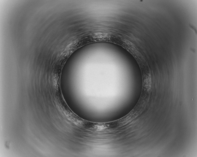 X0000102500662200808151522