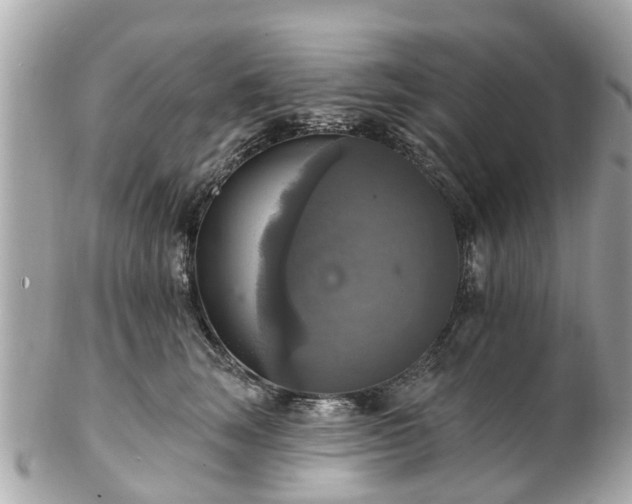 X0000102500663200808151522