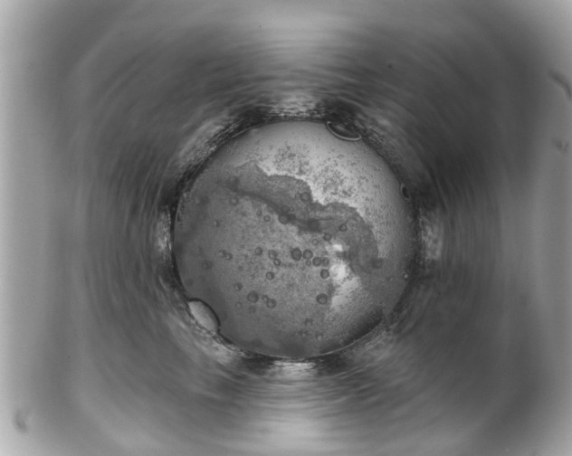 X0000102500665200808151522