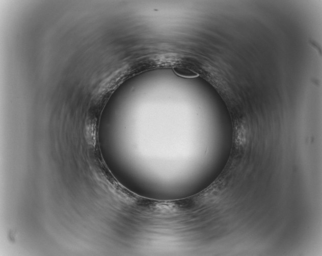 X0000102500666200808151522