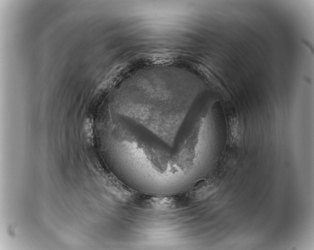 X0000102500667200808151522