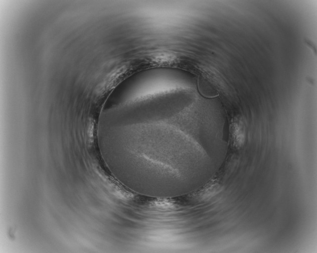 X0000102500668200808151522