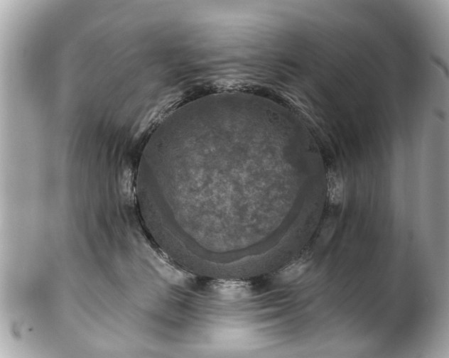 X0000102500670200808151522