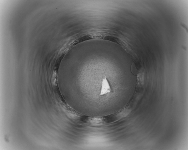 X0000102500671200808151522