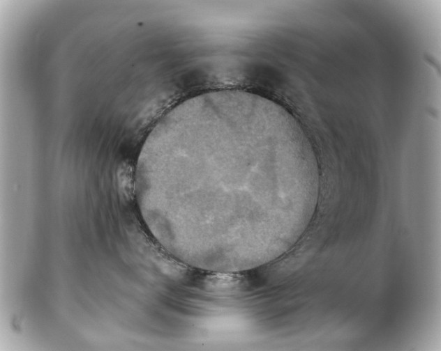 X0000102500672200808151522