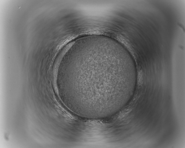 X0000102500673200808151521