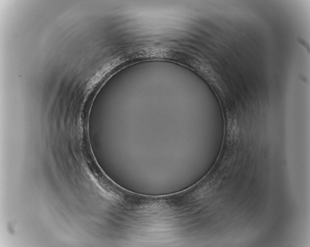 X0000102500674200808151521