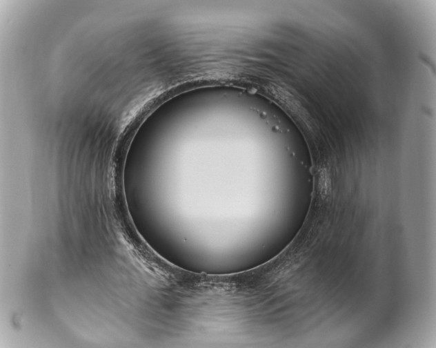 X0000102500676200808151521